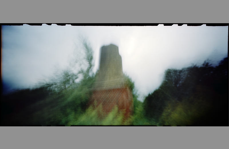 pinhole foto  schutz baum tree protection